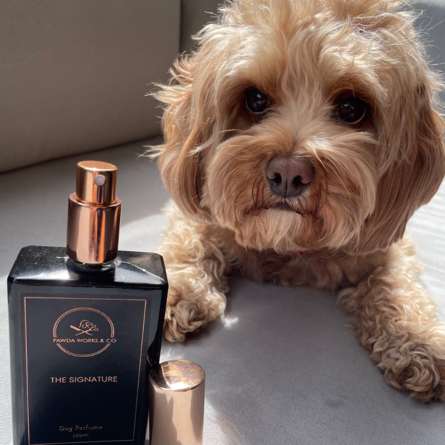 The Signature Dog Perfume 100ml