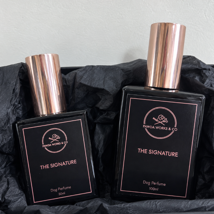 Christmas Gift Set | 50ml + 100ml