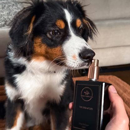 The Signature Dog Perfume 100ml