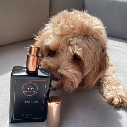 The Signature Dog Perfume 100ml