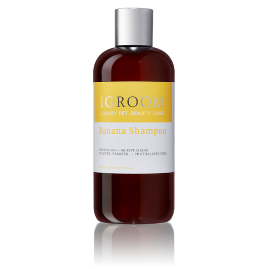 iGroom Banana Dog Shampoo