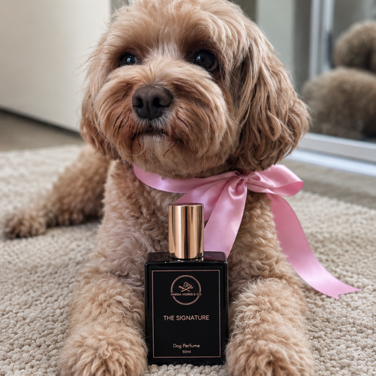 The Signature Dog Perfume 50ml